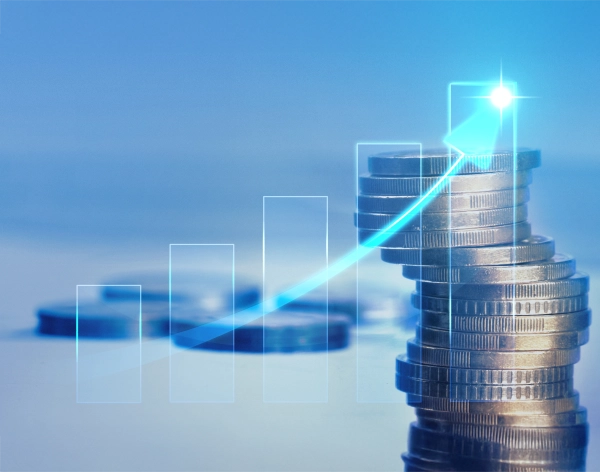 Small case Investment